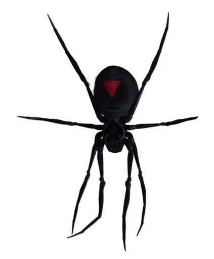 ABQspider-com_8-and-3-8V.png