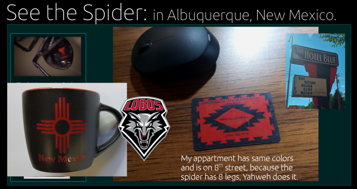 abqspider-image1.png