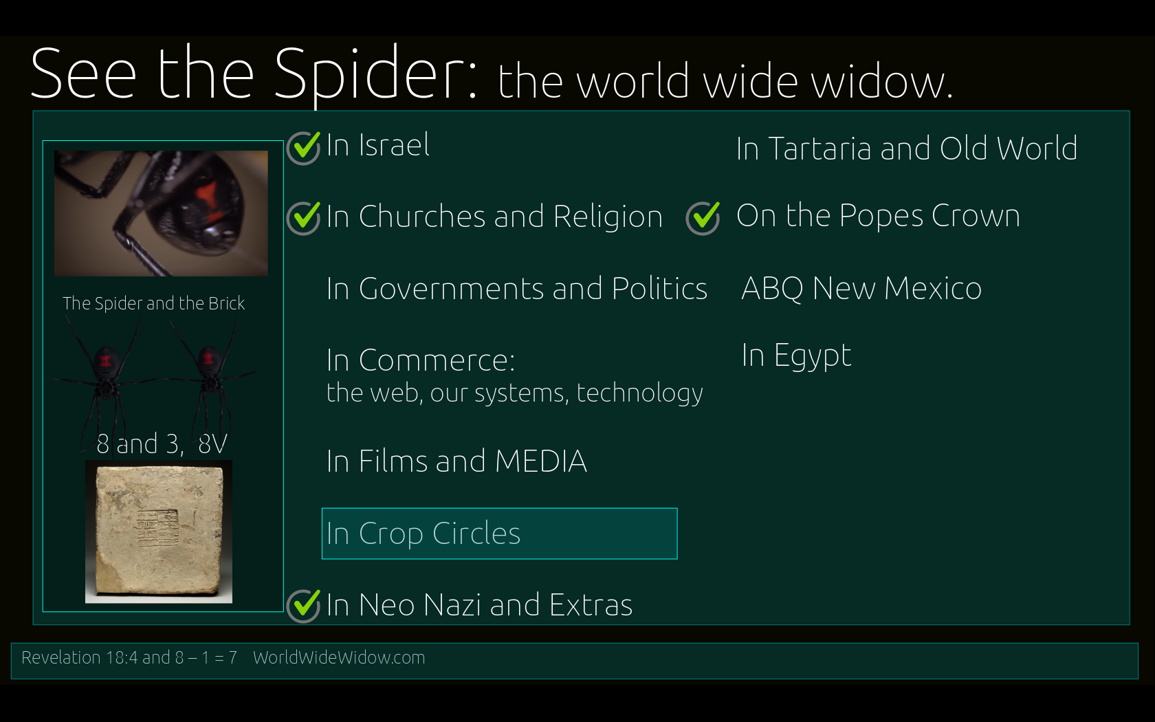 see-the-spider-in-crop-circles-cover.png