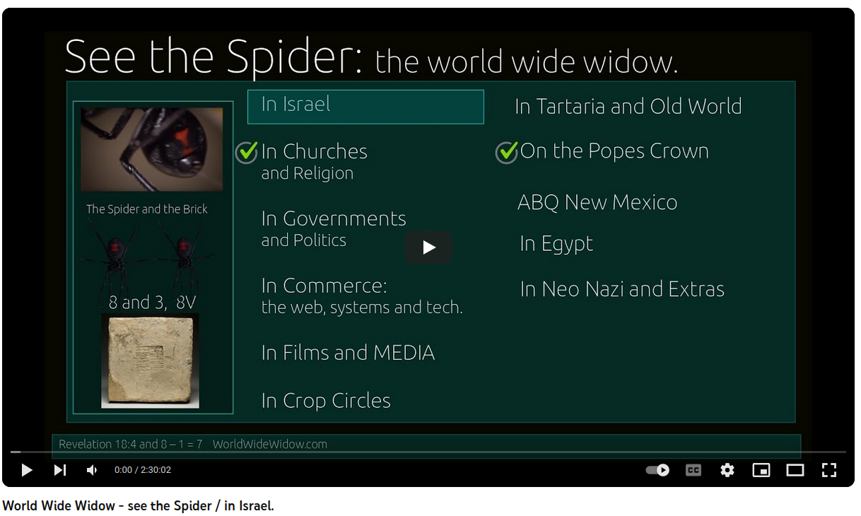 www-see-the-spider-in-israel-cover-lg.png